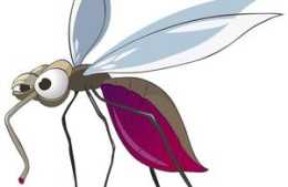 蚊子叮你不一定是因為嗜血，有時是因為口渴