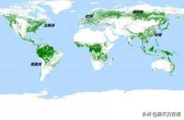 植樹造林，我們不玩虛的！看看做得最好的10個國家