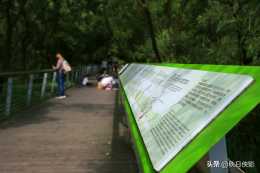 杭州又一免費生態公園火了，成了孩子們科普寫生基地，還有小龍蝦