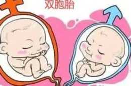 透過試管嬰兒可以生雙胞胎嗎？