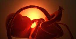 胎兒血型與母親不合，為什麼懷孕期間沒發生溶血？