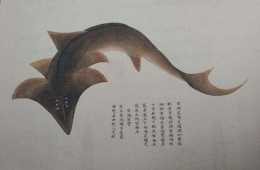 為什麼古人把“海鮮”稱為“海錯”？談談中國人吃海鮮的歷史