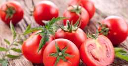 美食健康：吃番茄要細嚼慢嚥