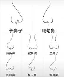 高挺的鼻樑對人的長相影響大嗎？什麼樣的鼻子最好看？