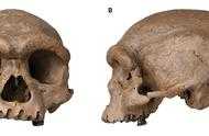 中國發現“龍人”頭骨化石，人類祖先的家譜可能就此改寫