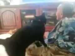 年老多病奶奶臥床不起，黑貓每天都去按摩，讓人感動