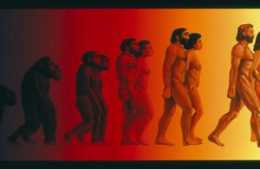進化論到底是不是真的？為什麼世界各個地區有“創世神”的傳說？