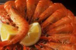 中國到底哪裡的蝦最好吃？