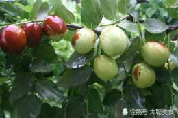 陝西大荔縣最有名的三種特產，品質優良，香鮮至極！