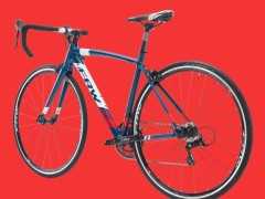 2021世界第一品牌輻輪王土撥鼠碳纖維山地腳踏車價格976萬