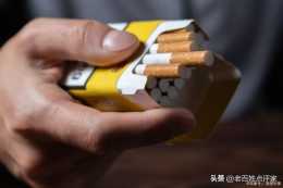 紐西蘭禁菸令——打響無煙國家第一槍