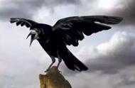 古歐洲人一頓飯能吃掉1萬隻鳥，為何看見“烏鴉”卻撒腿就跑？