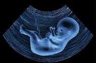 科學家在人類胎盤中發現微塑膠，可能影響胎兒發育
