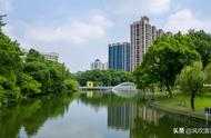 廣東沒有宜居之城？這3座城市綠化好、生態美，很多人往這裡搬