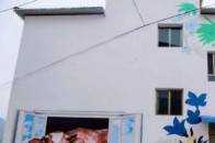 碧江有個“塗鴉村”，家家戶戶都美成一幅畫